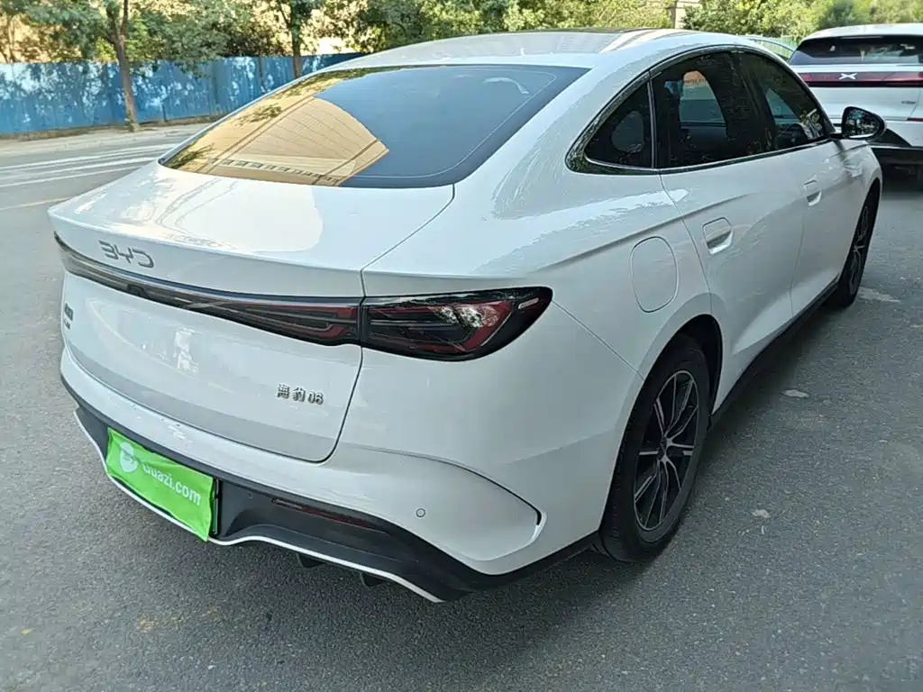 Seal 06 DM-i 120 KM Premium