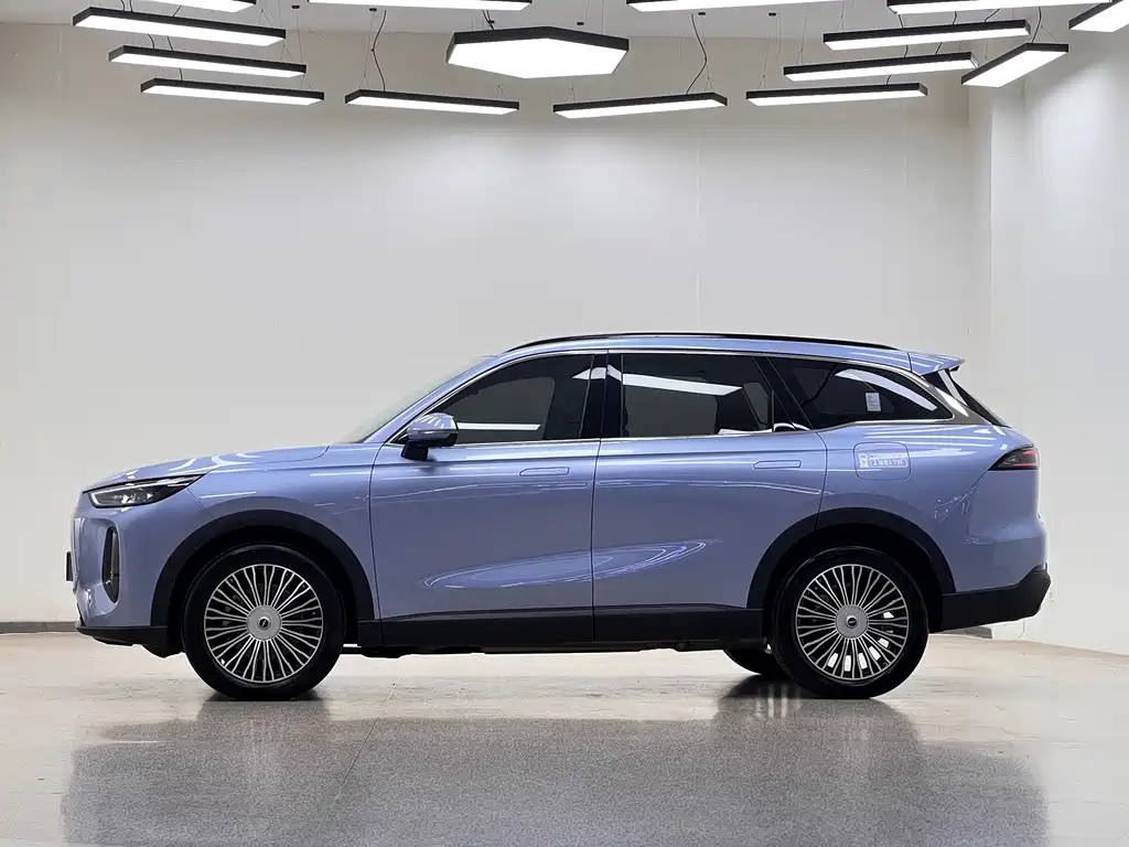Fengyun T9 120 Long Range Flagship 7-seat Ternary Lithium