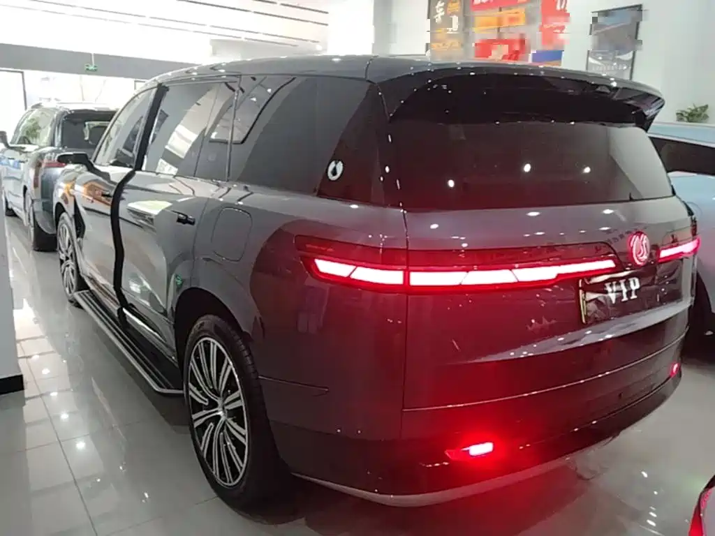 Denza N9 Flagship