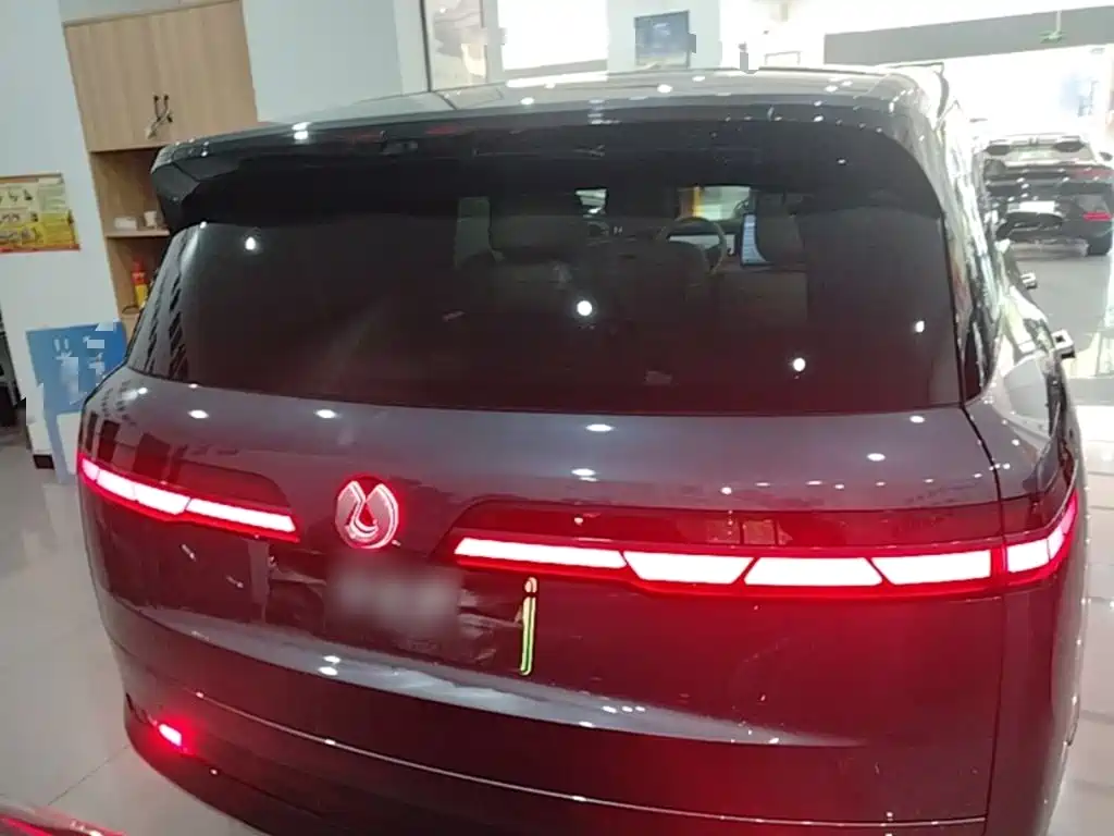 Denza N9 Flagship