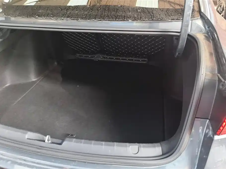 Xingrui Facelift 2.0 TD Distinguished