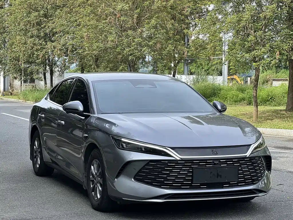 Qin L DM-i Smart Drive 80 KM Transcend