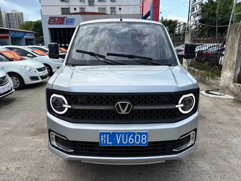 Chenggong Auto 角马 角马 2024款 1.6 L 舒适型双排栏板