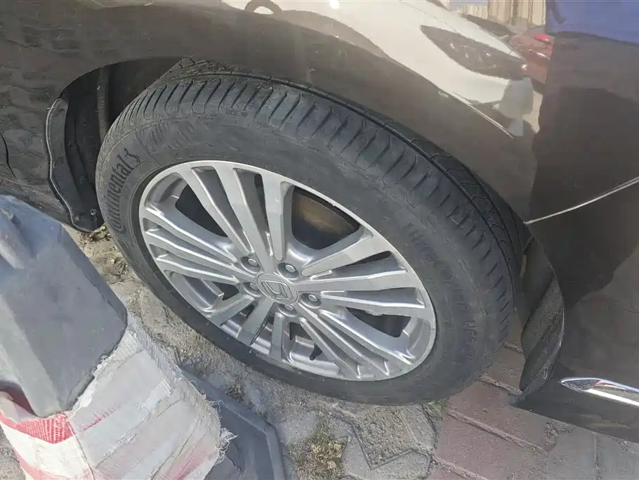 Elysion 2.4 L Luxury