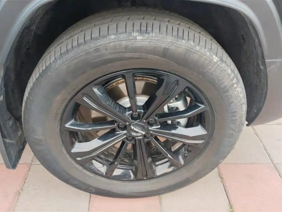 Haval Menglong NEV Hi4 145 Cross