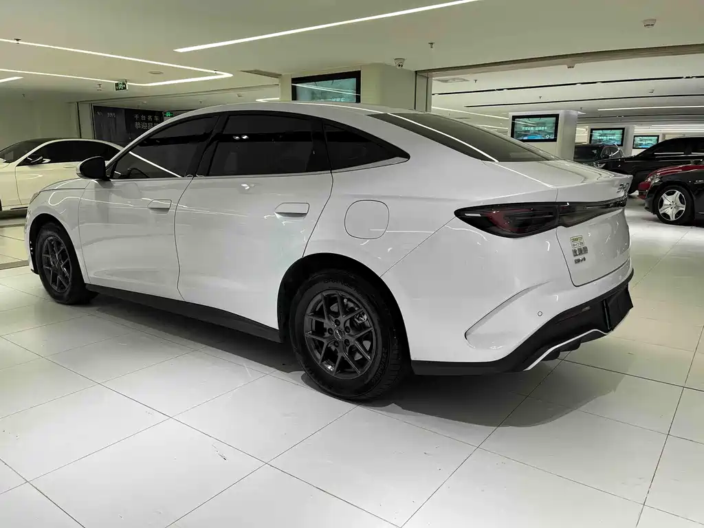 Seal 06 DM-i 80 KM Luxury