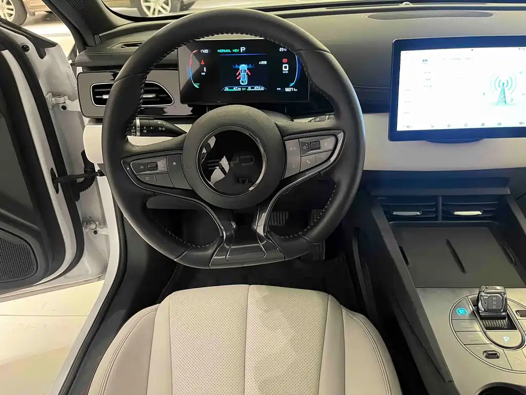 Seal 06 DM-i 80 KM Luxury