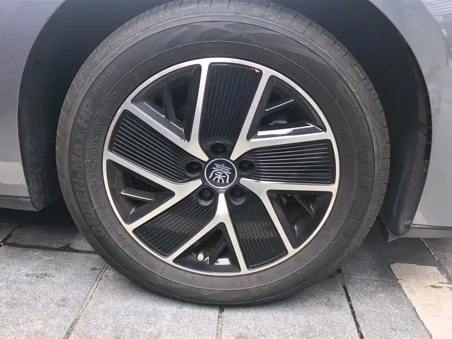 Qin L DM-i 120 KM Transcend