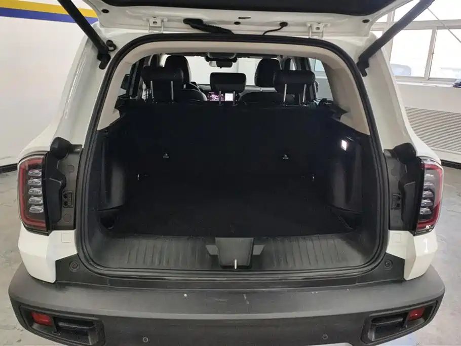 Haval Dargo 2.0 T DCT Brilliance Country Dog