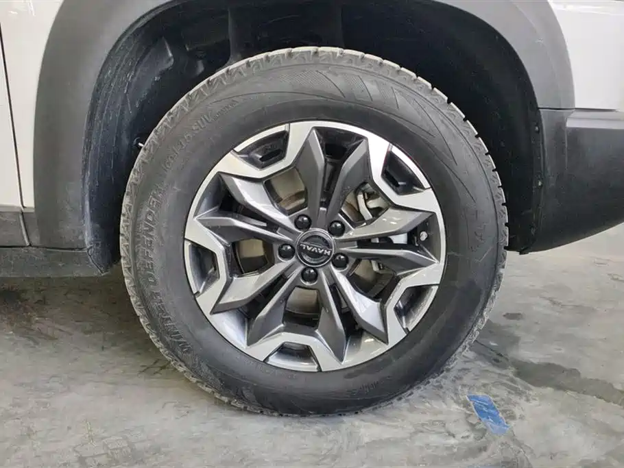 Haval Dargo 2.0 T DCT Brilliance Country Dog