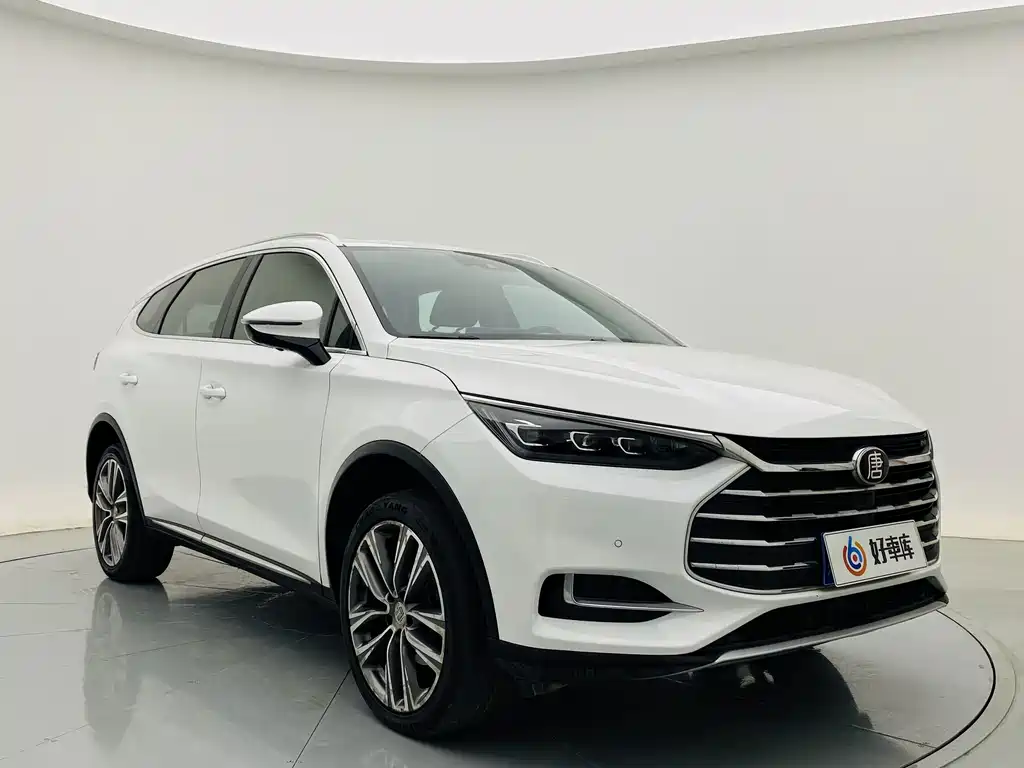 Tang 2.0 T Auto Connected Honored 7-seat CN-VI