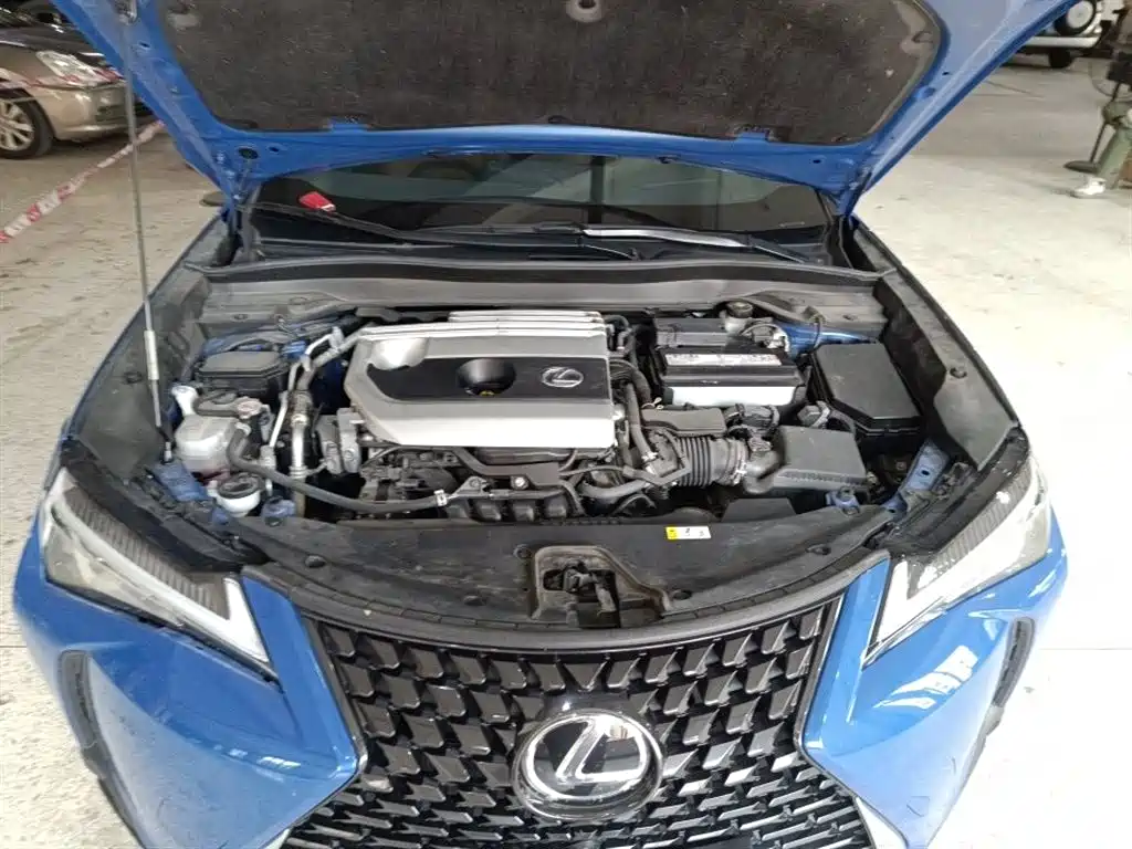 Lexus UX 200 Special Edition
