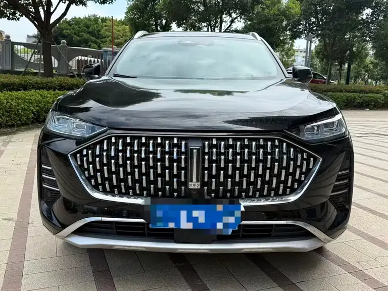 WEY Mocha 2.0 T 2 WD Pure