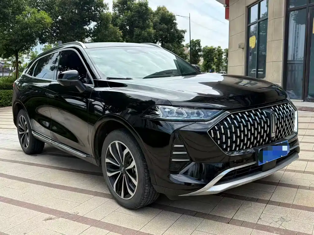 WEY Mocha 2.0 T 2 WD Pure