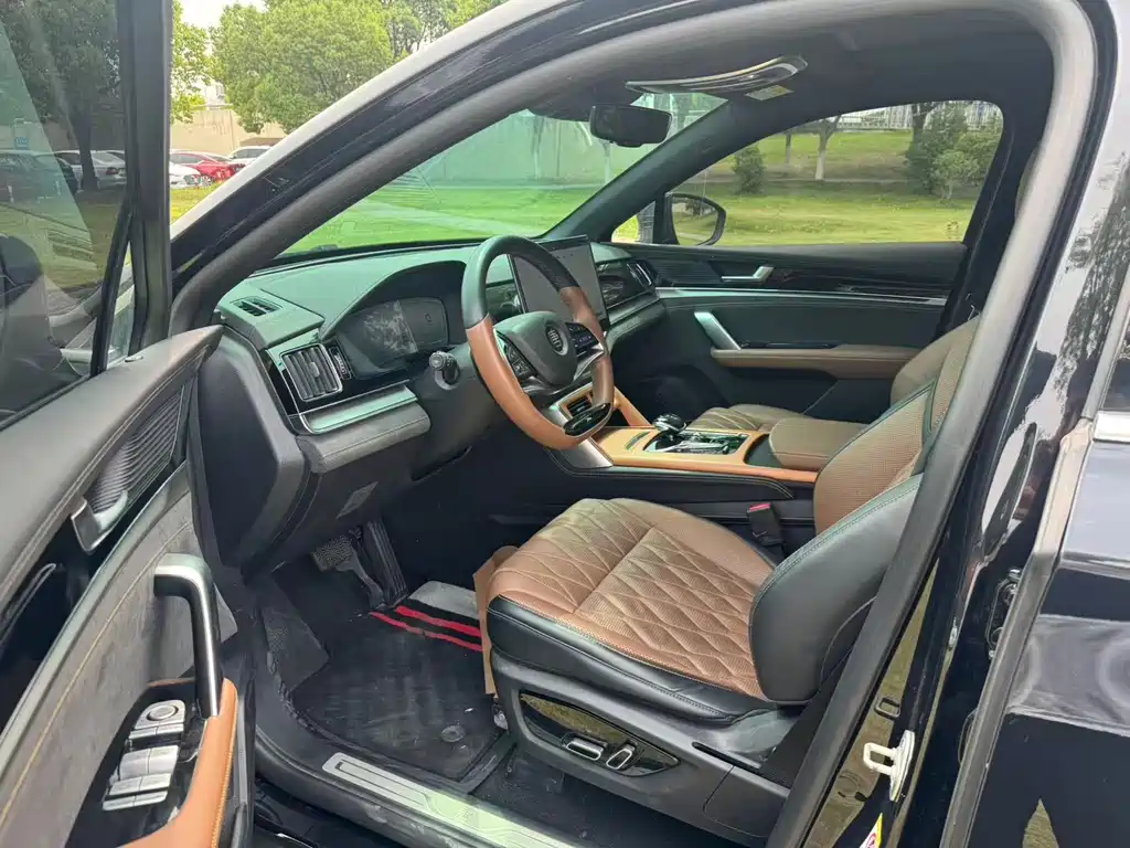 Tang 2.0 T Auto Flagship