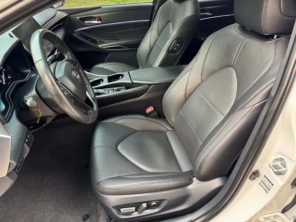 Avalon 2.0 L Luxury