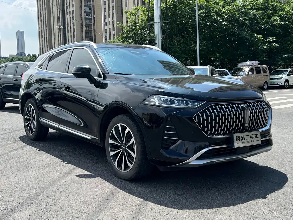 WEY Mocha 2.0 T 2 WD Espresso