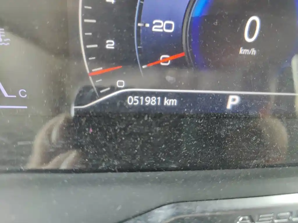 Yixuan GS 230 T Auto Star Chasing