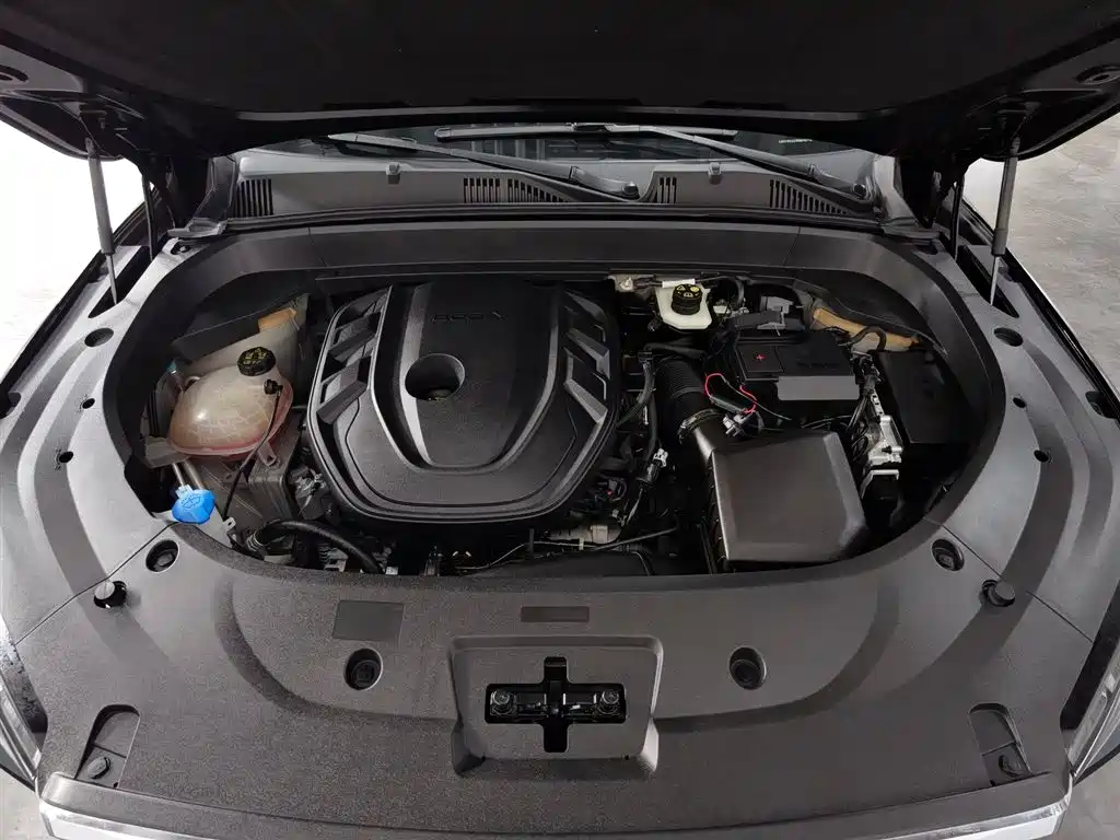 Xingyue L 2.0 TD High Power Auto 2 WD Skyline