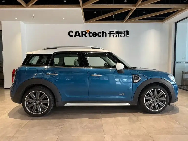 MINI COUNTRYMAN 2.0 T COOPER S ALL4 Artist