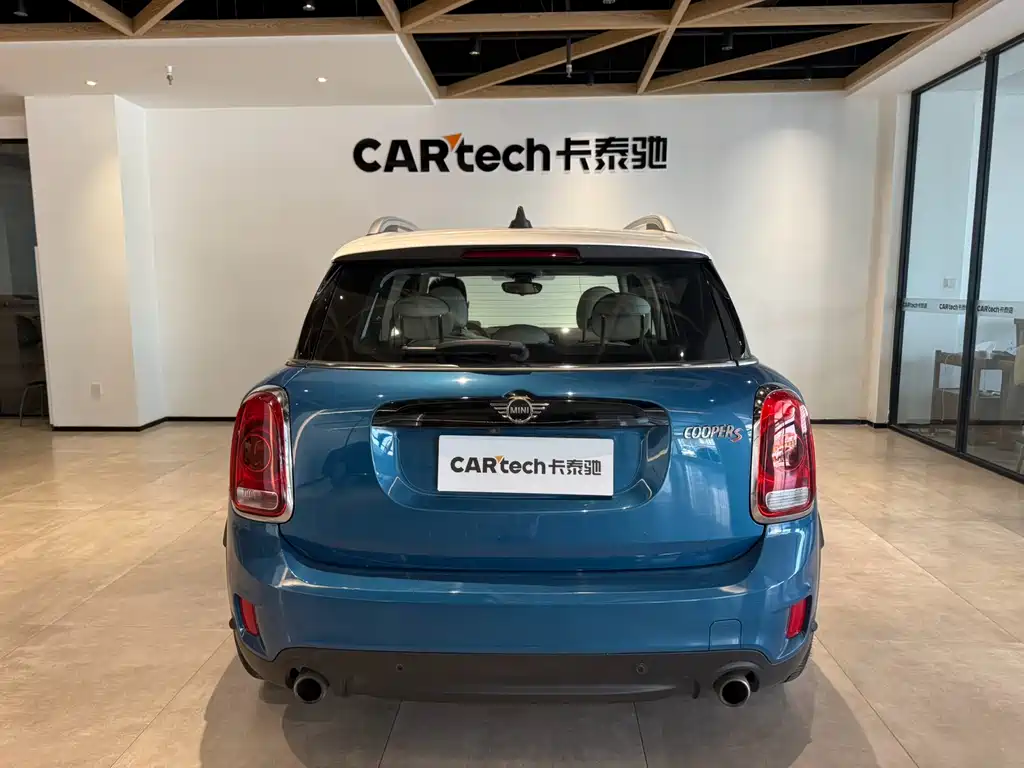 MINI COUNTRYMAN 2.0 T COOPER S ALL4 Artist