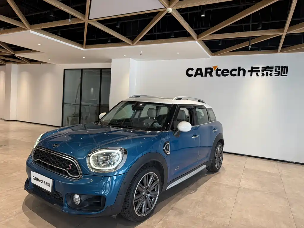MINI COUNTRYMAN 2.0 T COOPER S ALL4 Artist