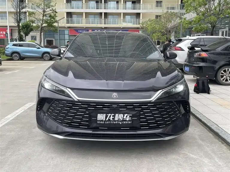 BYD Qin L DM-i 80 KM Transcend