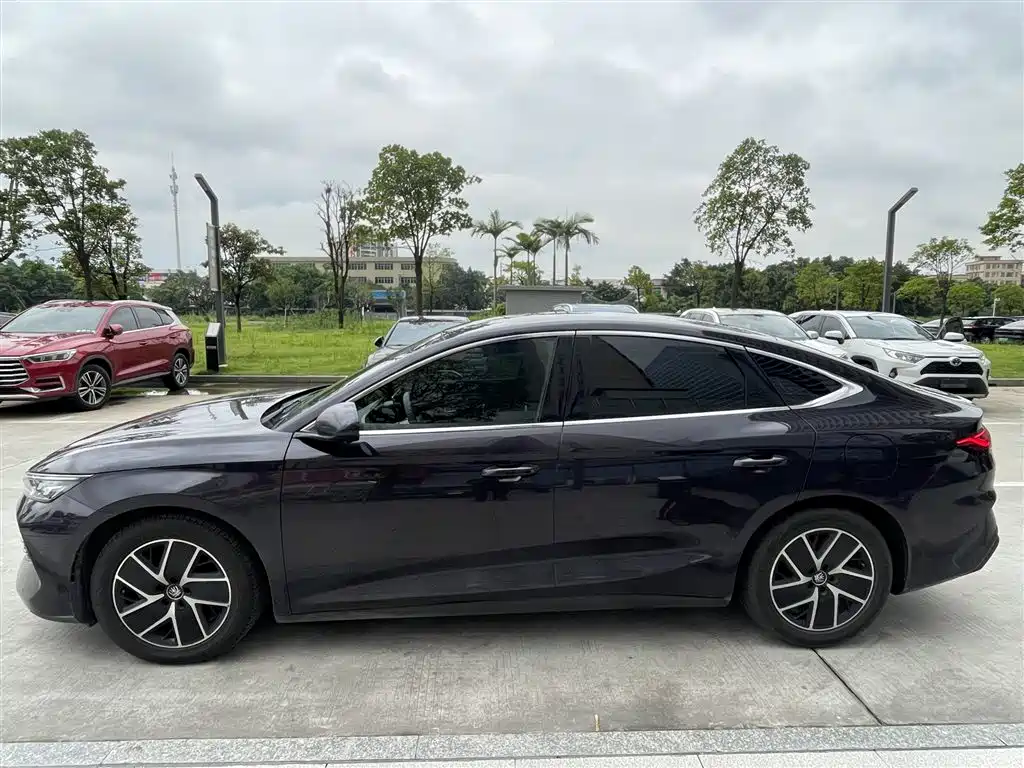 Qin L DM-i 80 KM Transcend