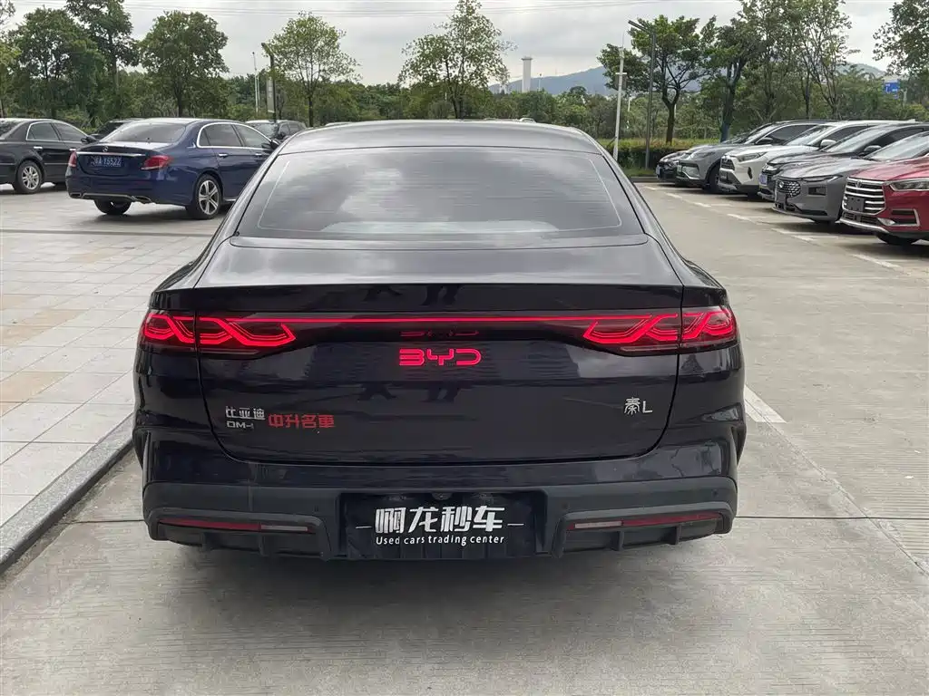 Qin L DM-i 80 KM Transcend