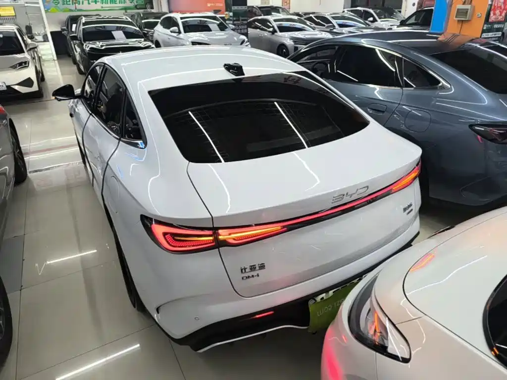 Seal 06 DM-i Smart Drive 80 KM Luxury