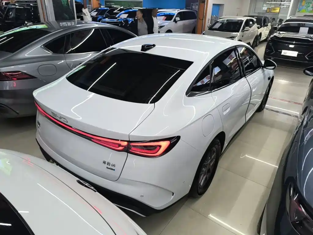 Seal 06 DM-i Smart Drive 80 KM Luxury
