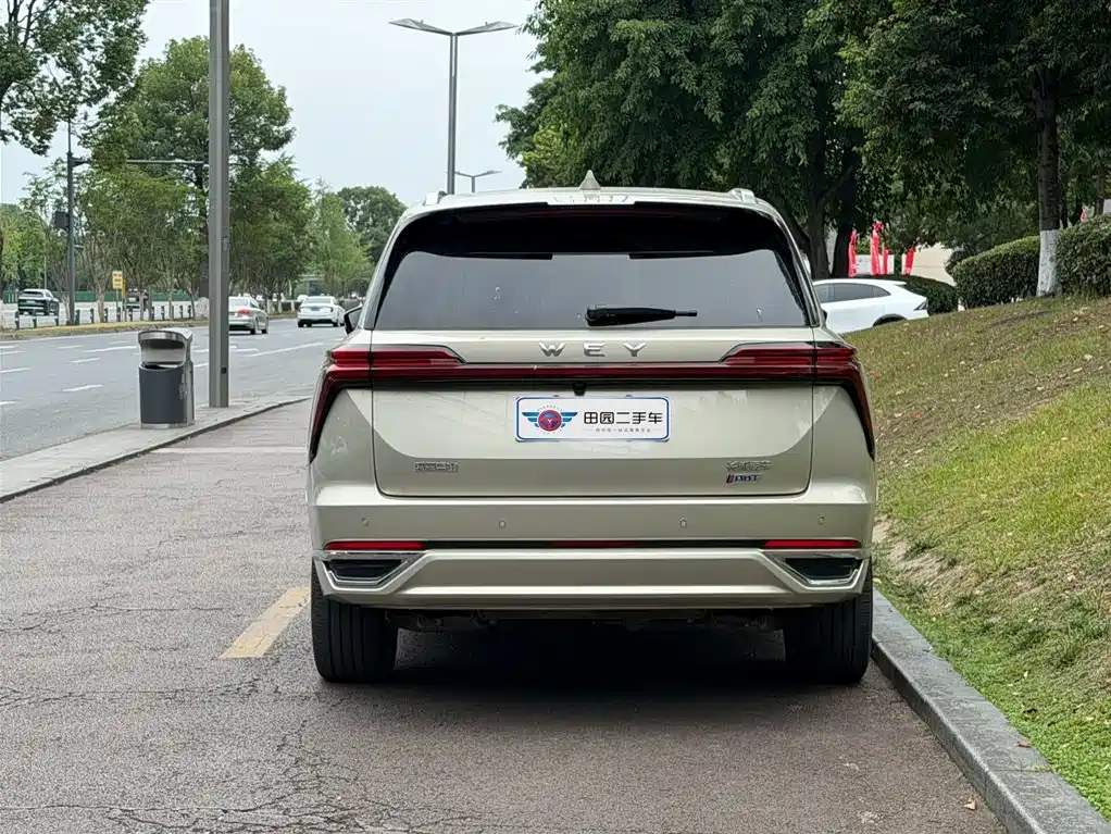 WEY Blue Mountain 4 WD Ultra Long Range