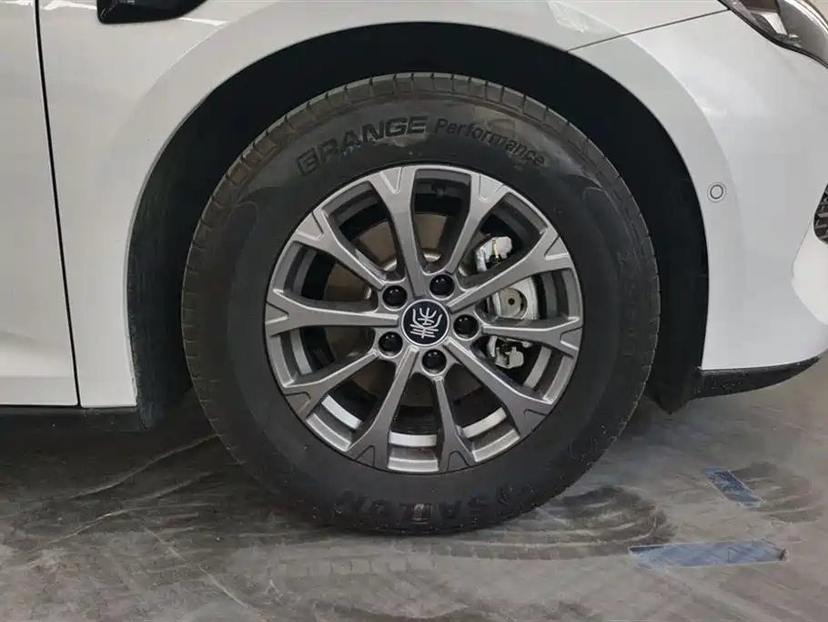 Qin L DM-i Smart Drive 80 KM Leading