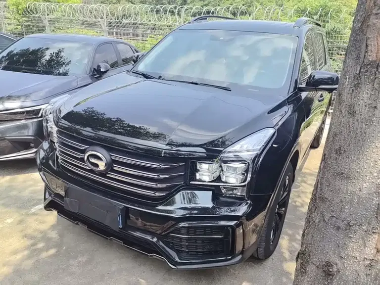 GAC Trumpchi GS8 传祺GS8 2021款 390 T 两驱暗夜骑士版