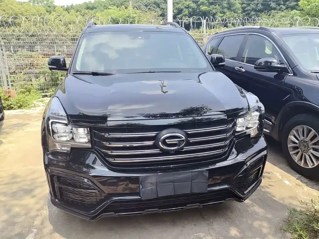 GAC Trumpchi GS8 传祺GS8 2021款 390 T 两驱暗夜骑士版