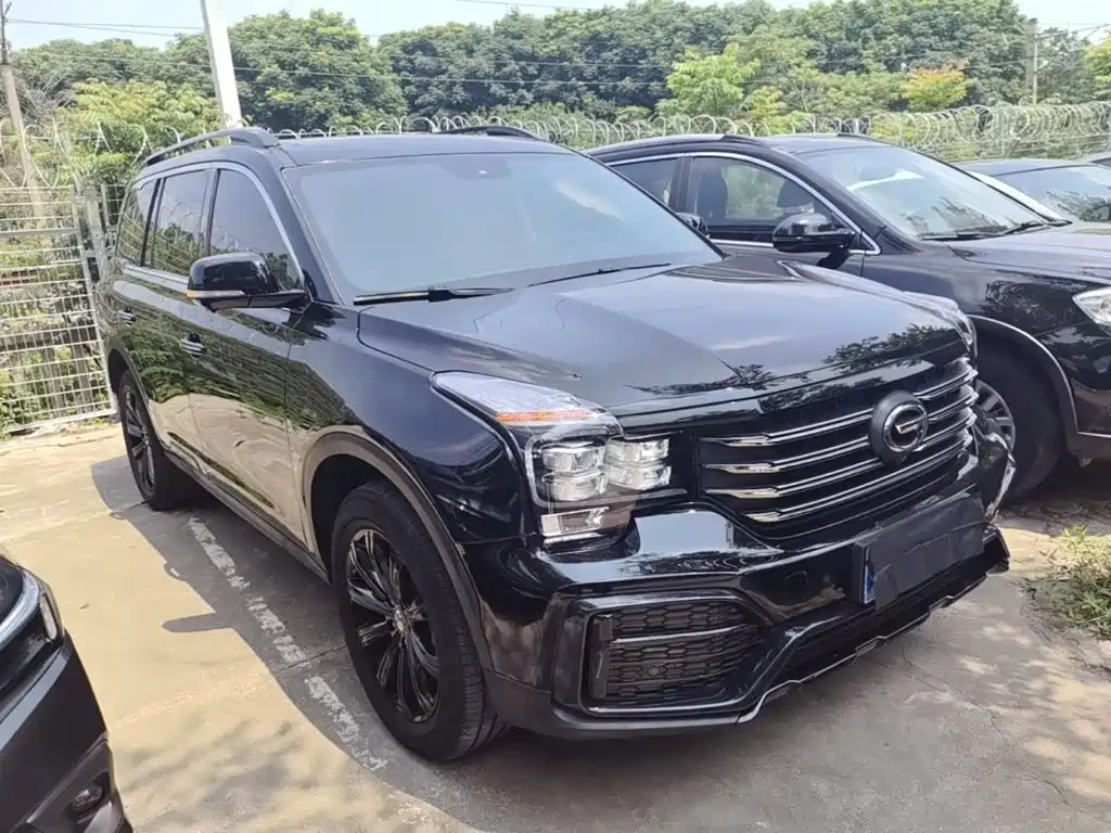 GAC Trumpchi GS8 传祺GS8 2021款 390 T 两驱暗夜骑士版