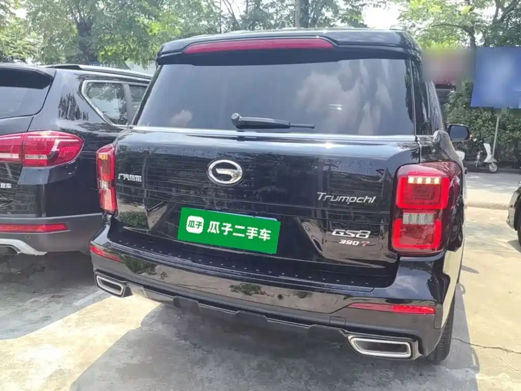 GAC Trumpchi GS8 传祺GS8 2021款 390 T 两驱暗夜骑士版