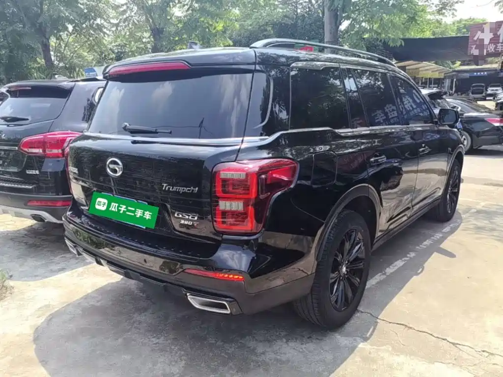 GAC Trumpchi GS8 传祺GS8 2021款 390 T 两驱暗夜骑士版