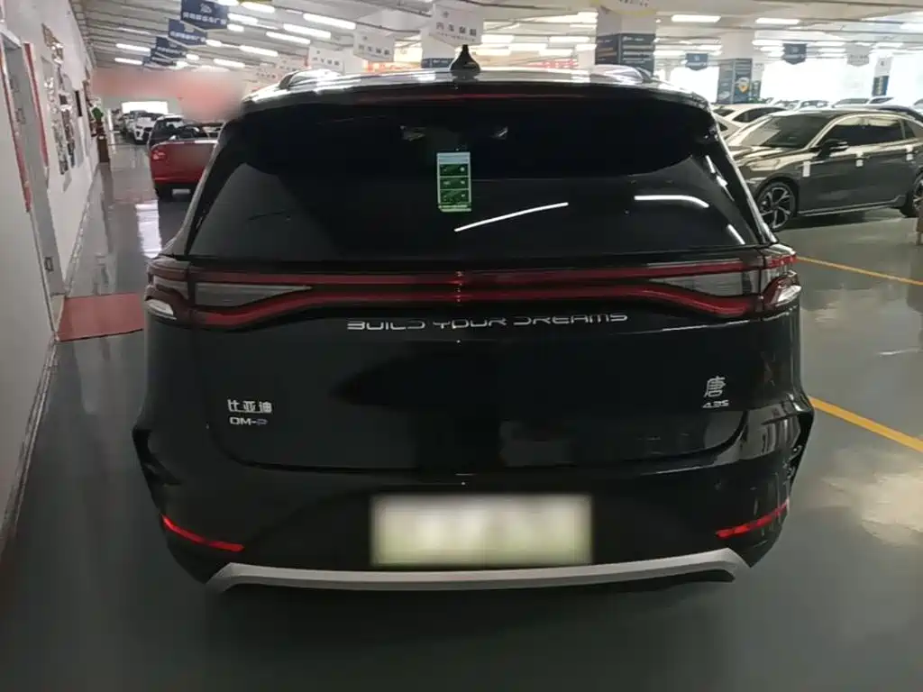 Tang NEV DM-p 215 KM 4 WD Flagship