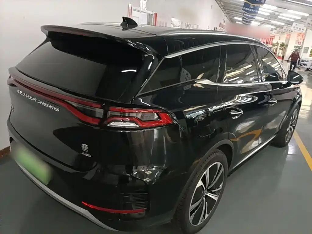 Tang NEV DM-p 215 KM 4 WD Flagship