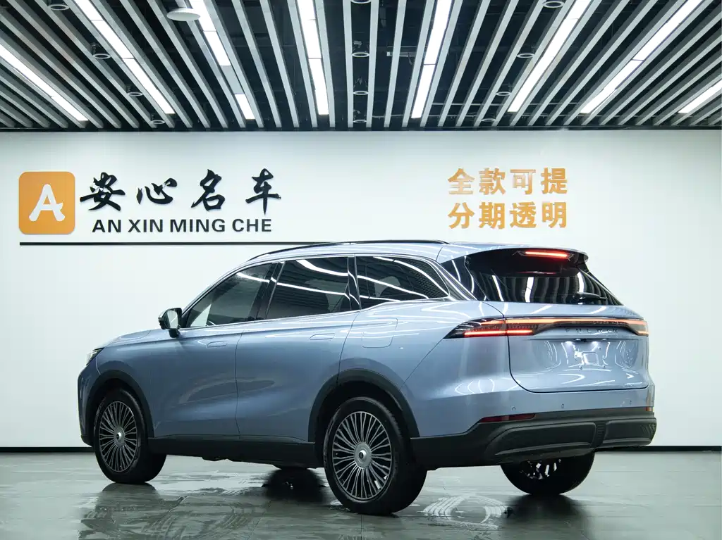 Fengyun T9 120 Long Range Flagship 7-seat Ternary Lithium