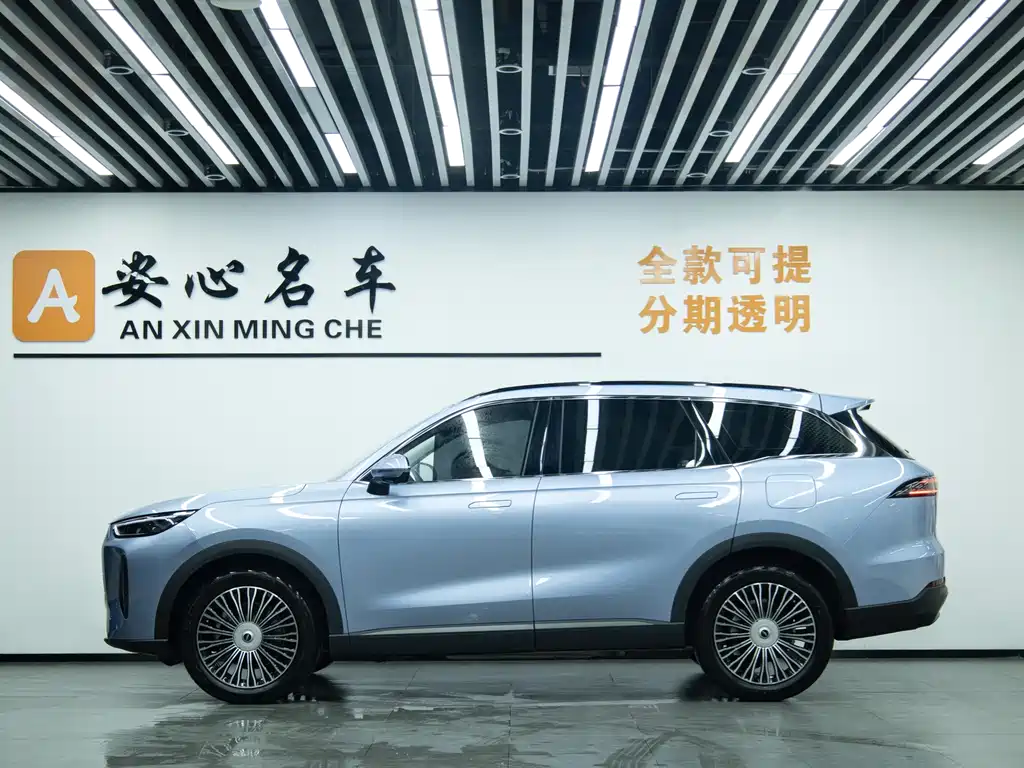 Fengyun T9 120 Long Range Flagship 7-seat Ternary Lithium