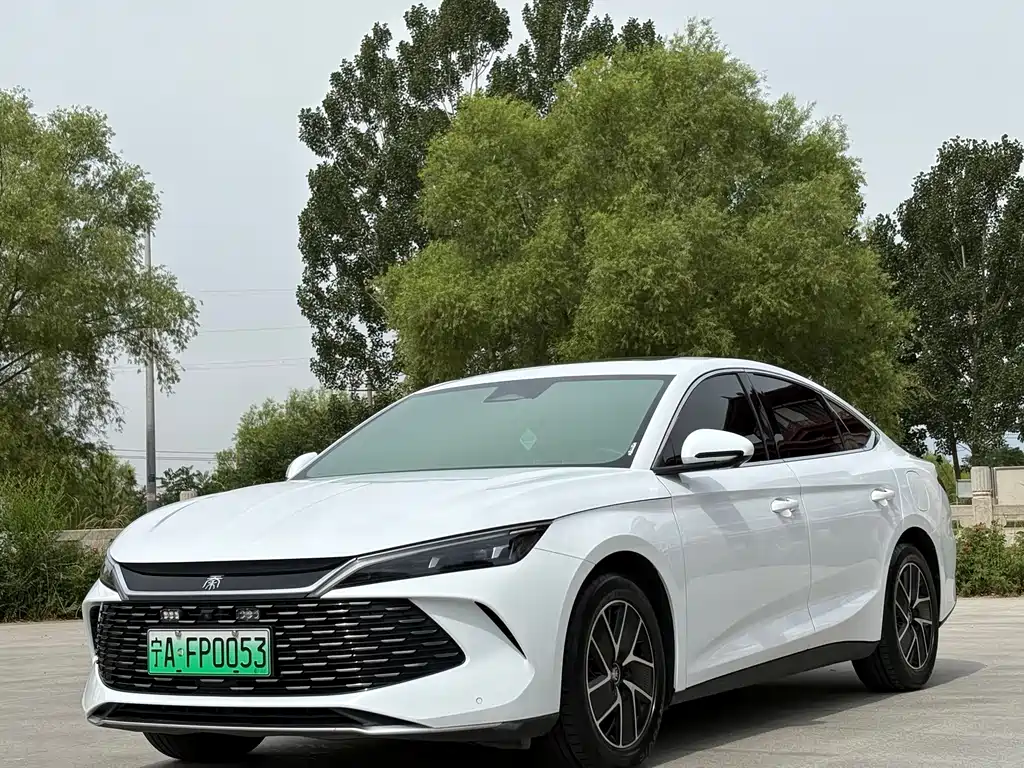 Qin L DM-i 120 KM Transcend