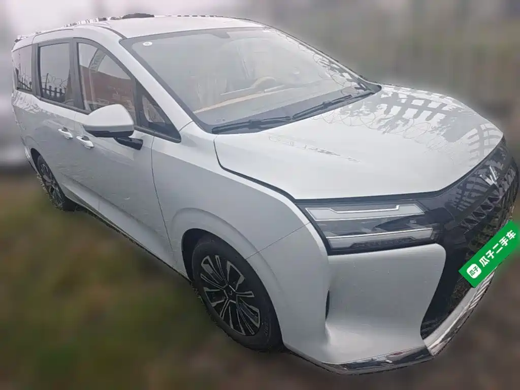 Xingguang 730 NEV 星光730新能源 2025款 插混 125 km 豪华型