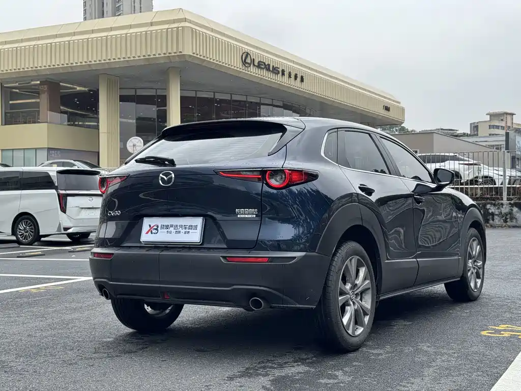 Mazda CX-30 2.0 L Auto Elegant Joy