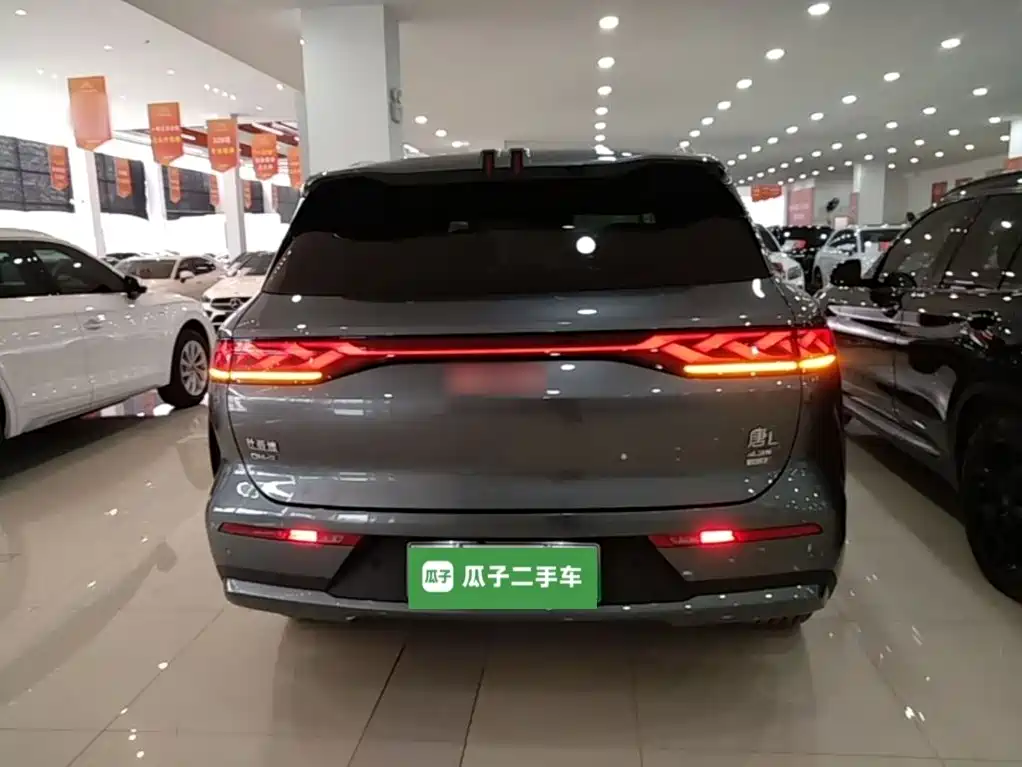 Tang L DM 200 KM 4 WD Lidar Flagship