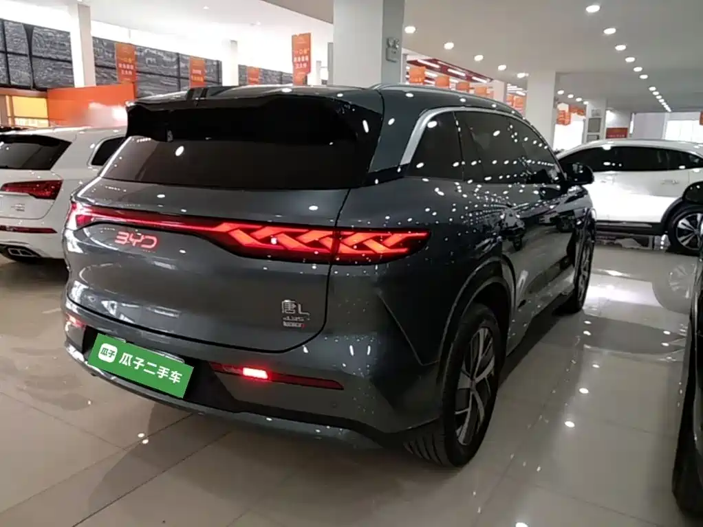 Tang L DM 200 KM 4 WD Lidar Flagship