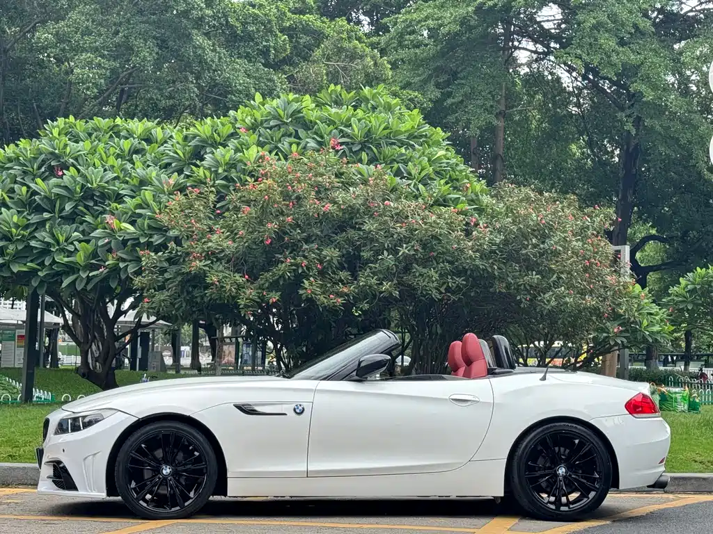 BMW Z4 sDrive23 i Flame Limited