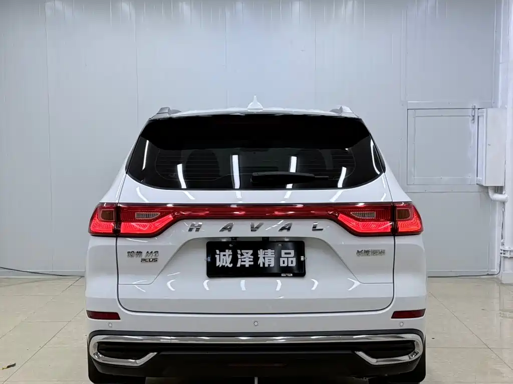 Haval M6 PLUS 1.5 T DCT Luxury Connected