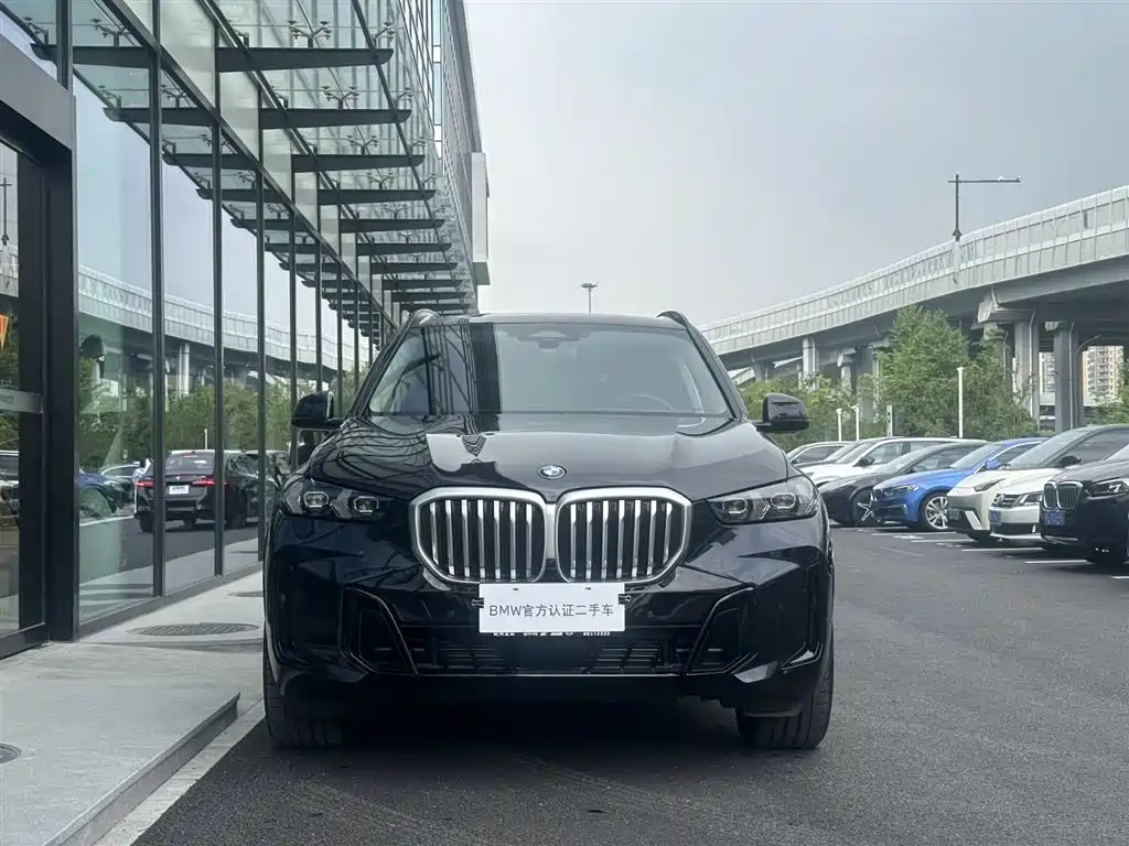 BMW X5 xDrive 30 Li Premium M Sport Night Package